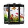Pești și animale marine – Decorul acvariului