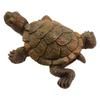 Home Decoration Turtle Statue Balconies Fish Tanks For Decorating Gardens Backyards Lawns 7cm X 5.6cm Artwork Garden Figurine