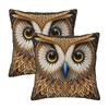 Owl Beliefs Print 5 2 Pcs Square Pillowcase Pillow Cover Cushion Decor Comfort Throw Pillow For Home Car
