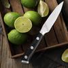Stainless Steel Chef Knife Fruit Paring Knife Ultra Sharp Forged Knife Cooking Fruit Vegetable Slicing Knife Kitchen Accessories