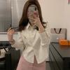 Korean Embroidered Striped Blue Shirt for Women - Spring/Autumn 2026 New Design