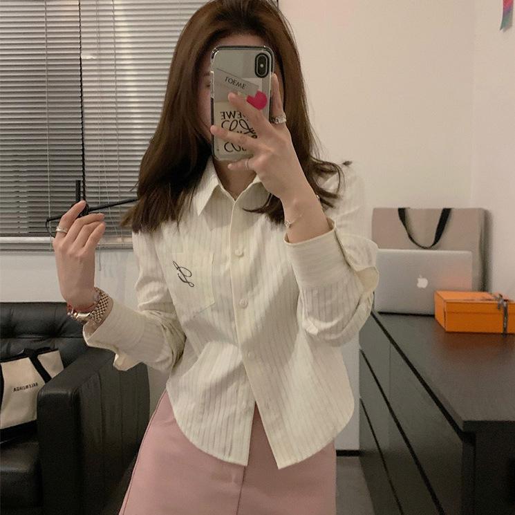 Korean Embroidered Striped Blue Shirt for Women - Spring/Autumn 2026 New Design