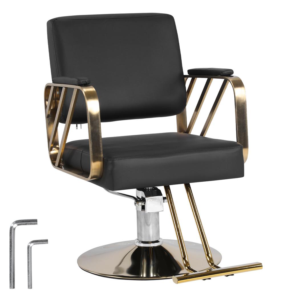Hair Salon Chair Capacity 420 Lbs Styling Chair with Heavy Duty Hydraulic Pump 360 Swivel Adjustable for Home Barbershop