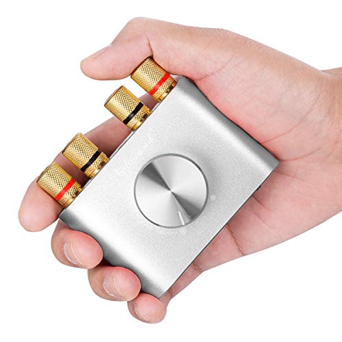 Nobsound NS-01G Pro Leistungsverstärker, Bluetooth 5.0, 100W, Verstärker, Lautsprecher, HiFi Audio, mit Netzteil (Silber)