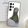 The Pigeons Phone Case For Samsung Galaxy S24 S25 Ultra S9 S10 S20 S21 S22 S23 Plus S24 FE Cover Shell