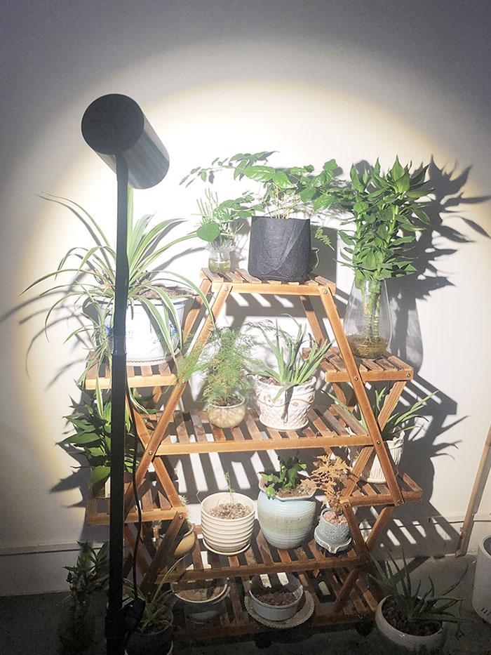 Dimmbares 20-W-LED-Wachstumslicht mit Stativ, Rot/Blau/Tagesweiß, Vollspektrum-Boden-Pflanzenlampe für die Blüte von Sämlingen