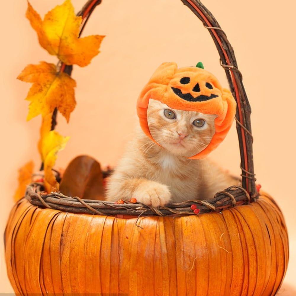 Adjustable Cat Pumpkin Headwear Orange Pet Pumpkin Cap Creativity Pet Pumpkin Hat