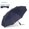 TianTang Automatic Reinforced Umbrella