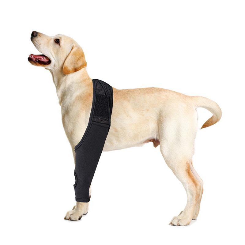 Pet Knee Pads Dog Support Brace Breathable Injury Recover Legs Wrap Ligaments Support Injury Care Dog Wrap Pet Dog Supplies