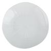 Ruhan Minimalist White Ceramic Plate