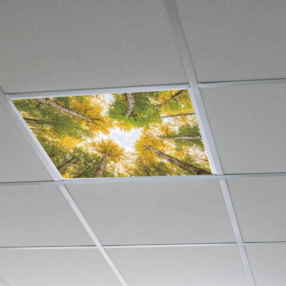 Autumn Morning Quiet Forest Ceiling Bedroom Beautiful Home Beautification Stickers