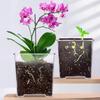 Flowerpot Acrylic Transparent Orchid Planter Breathable Hydrophobic Bottom Drainage Plant Pot Tuber Growth Planter