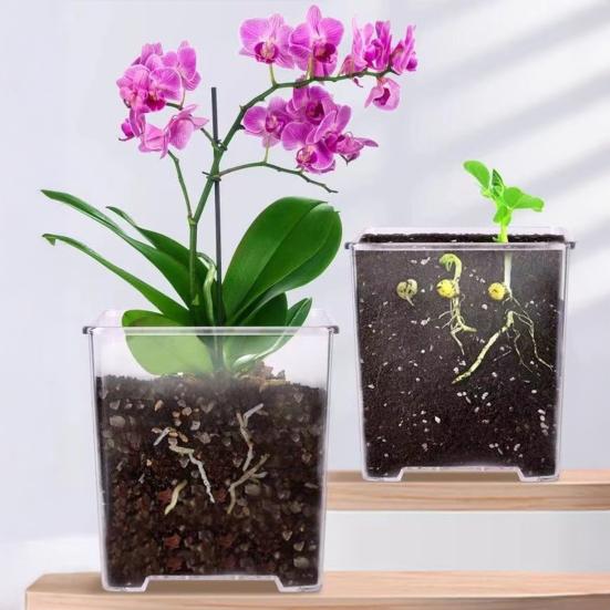 Flowerpot Acrylic Transparent Orchid Planter Breathable Hydrophobic Bottom Drainage Plant Pot Tuber Growth Planter