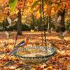 Bird Feeder with Removable Tray Hanging Bird Bath S Hook Design Bird Tub Shower Tray for Garden Balcony Patio