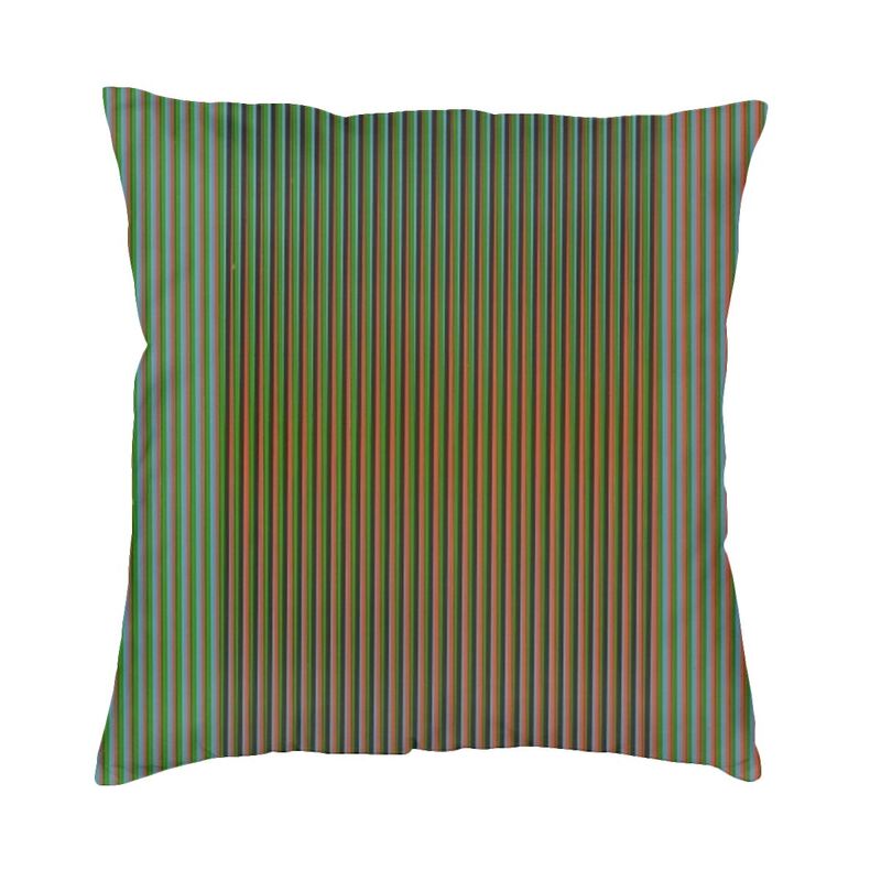 Carlos Cruz Diez Cushion Cover Two Side 3D Print Venezuela Artist Floor Pillow Case for Living Room Custom Pillowcase Home Decor 30x30cm 12x12in