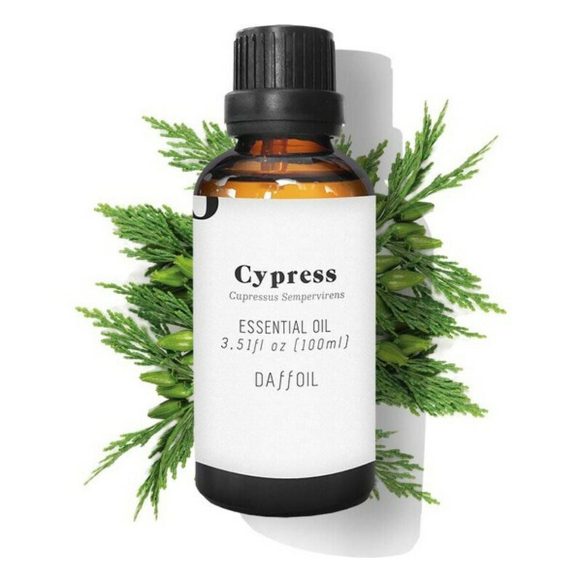 

Cypress Daffoil Essential Oil 100 ml