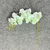One Artificial Phalaenopsis Flower Branch 3D Print Real Touch Orchid Plant for Wedding Party Home Floral Decoration