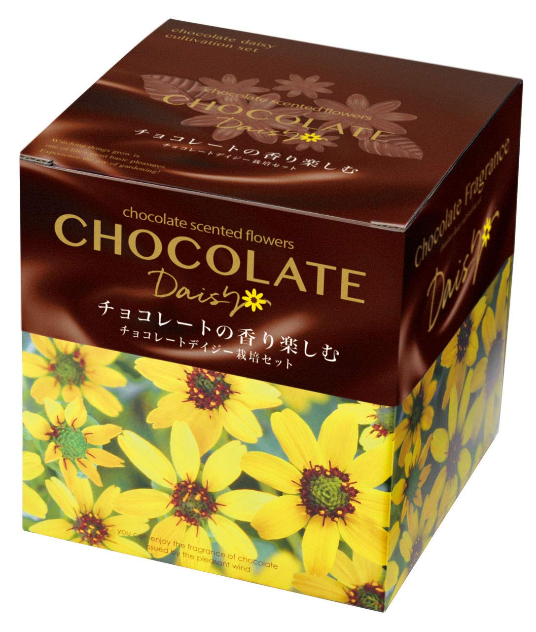 

Набор для выращивания керамики Seishin Chocolate Dizzy GD-845