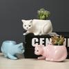 Cartoon Animal Succulent Flower Pot Creative Desktop Plant Cactus Ceramic Flower Pot With Tray