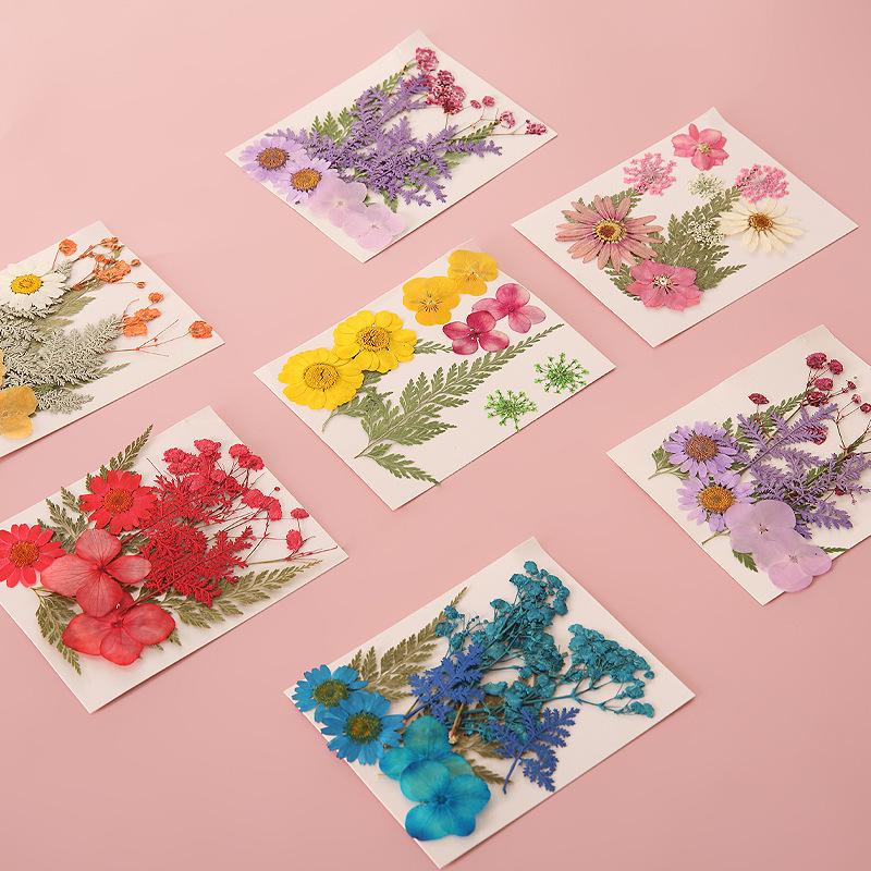 Handmade Pressed Flower Bookmark DIY Kit: Real Dried Flowers, Creative Craft, Unique Plant Specimen, Perfect Small Gift