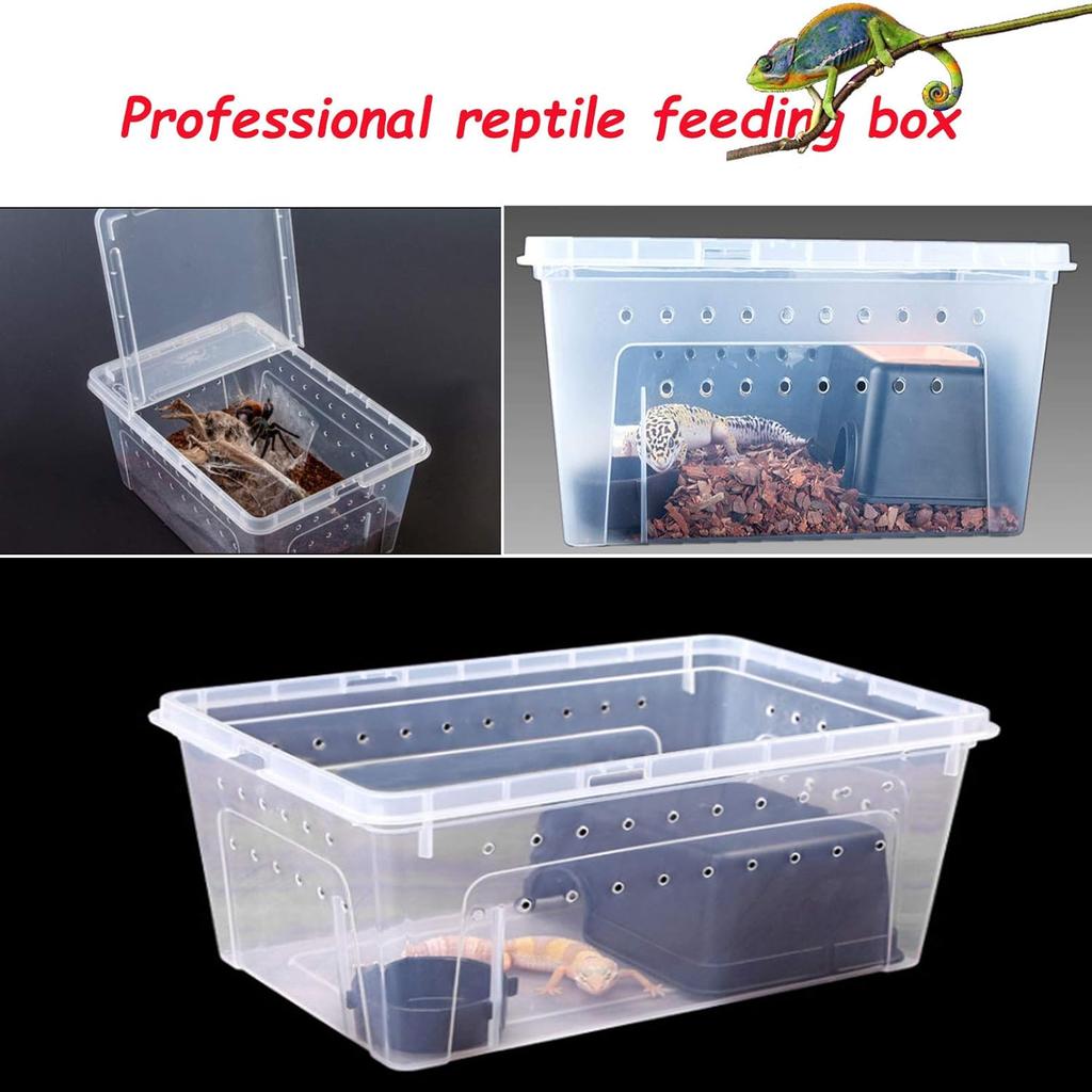 Reptile Feeding Box Snake Breeding Box Transparent Animal Habitat Cage Portable Plastic Turtle Transport Container For Bearded D