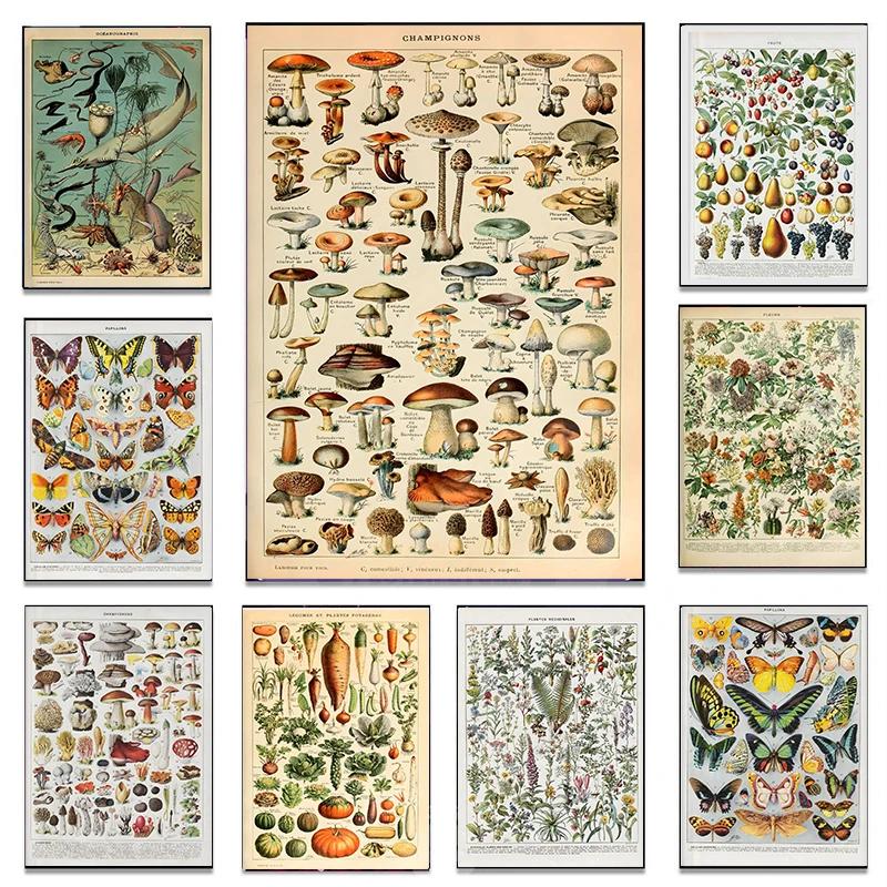 Arte Murale Classica Vintage Piante Fungo Fiore Medicinale Insetto Farfalla Verdura Zucca Carota Tela Poster ad Olio e Stampe
