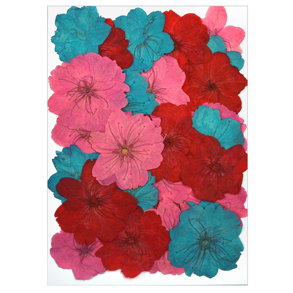 30PCS/Bag Dried Flowers Decor DIY UV Resin Mold Fillings Nail Art Flowers Stickers For Jewelry Making Home Decoration Handicraft