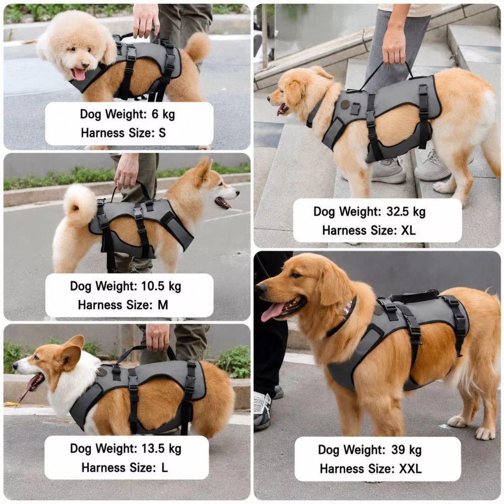 Adjustable Dog Rehabilitation Vest Breathable Pet Support Sling  Senior Dogs