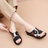 New Summer Women's Slippers Thick-Soled Anti-Slip Beach Shoes for Middle-Aged and Elderly Ladies