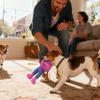 Köpek – Köpek oyuncakları