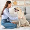 Removable Pet Nail Grinder & Repair Board for Dogs & Cats
