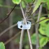 Plant Support Clips Reusable Plastic Plant Vine Strapping Grafting Fixing Holder Vegetable Tomato Climbing Tools Garden Supplies