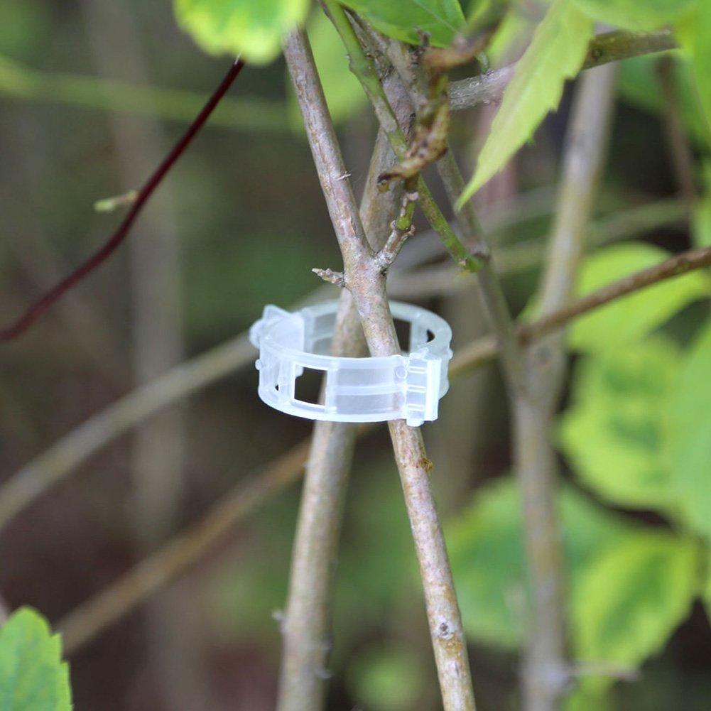 Plant Support Clips Reusable Plastic Plant Vine Strapping Grafting Fixing Holder Vegetable Tomato Climbing Tools Garden Supplies