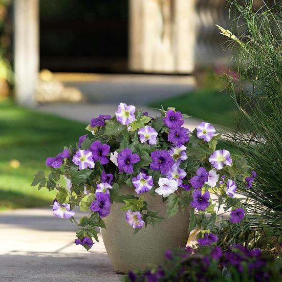 2Pcs Hanging Artificial Morning Glory UV Resistant Realistic Fake Plastic Flower Wedding Party Indoor Outdoor Garden Wall Hanging Faux Bloom