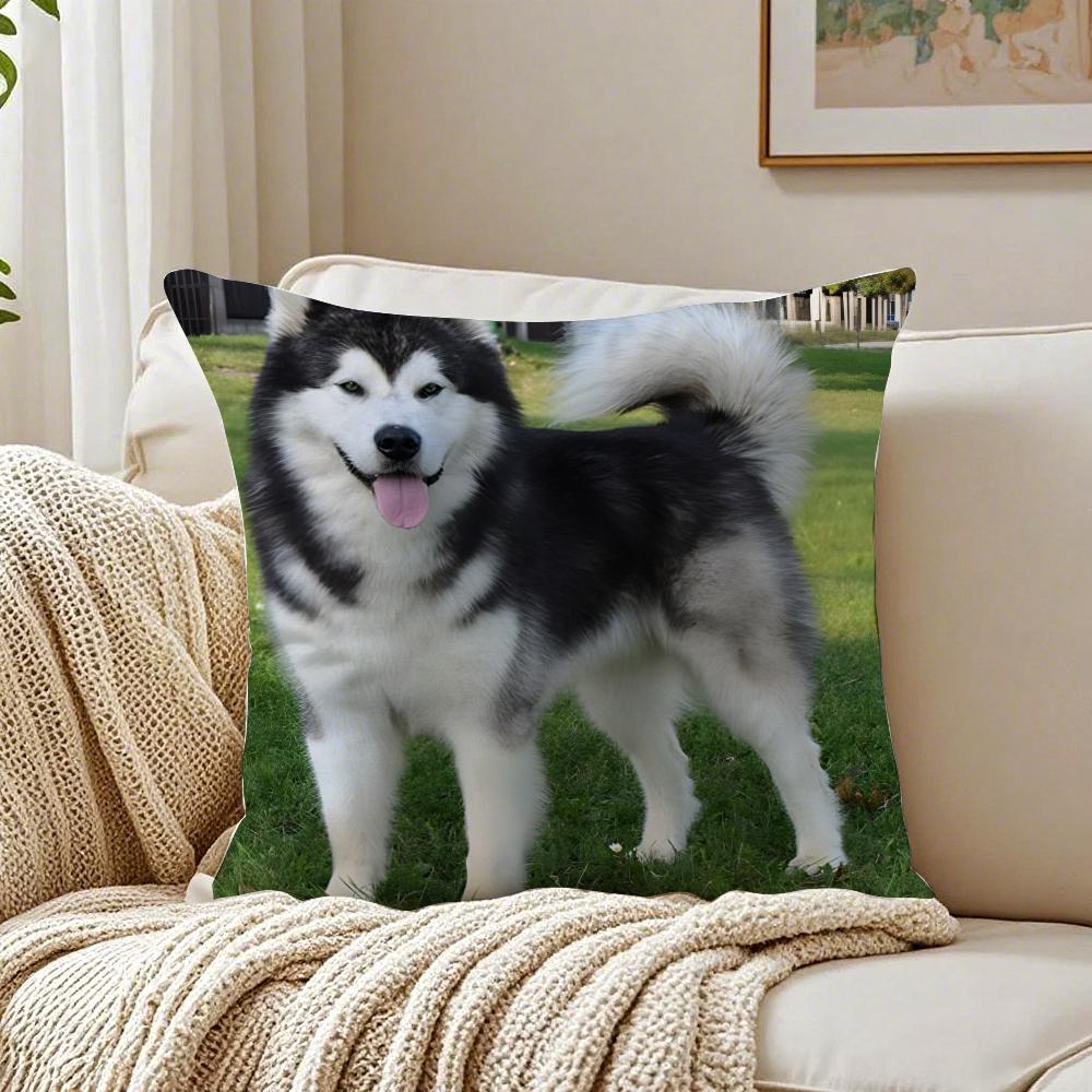 CUTE AAlaskan Malamutes Cushion Cover Pillowcase Antidustmite living Room Sofa Decor Cushion Room