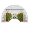 Walk-in Tunnel Greenhouse 19.36x9.68x6.5ft Galvanized Frame PE Cover White