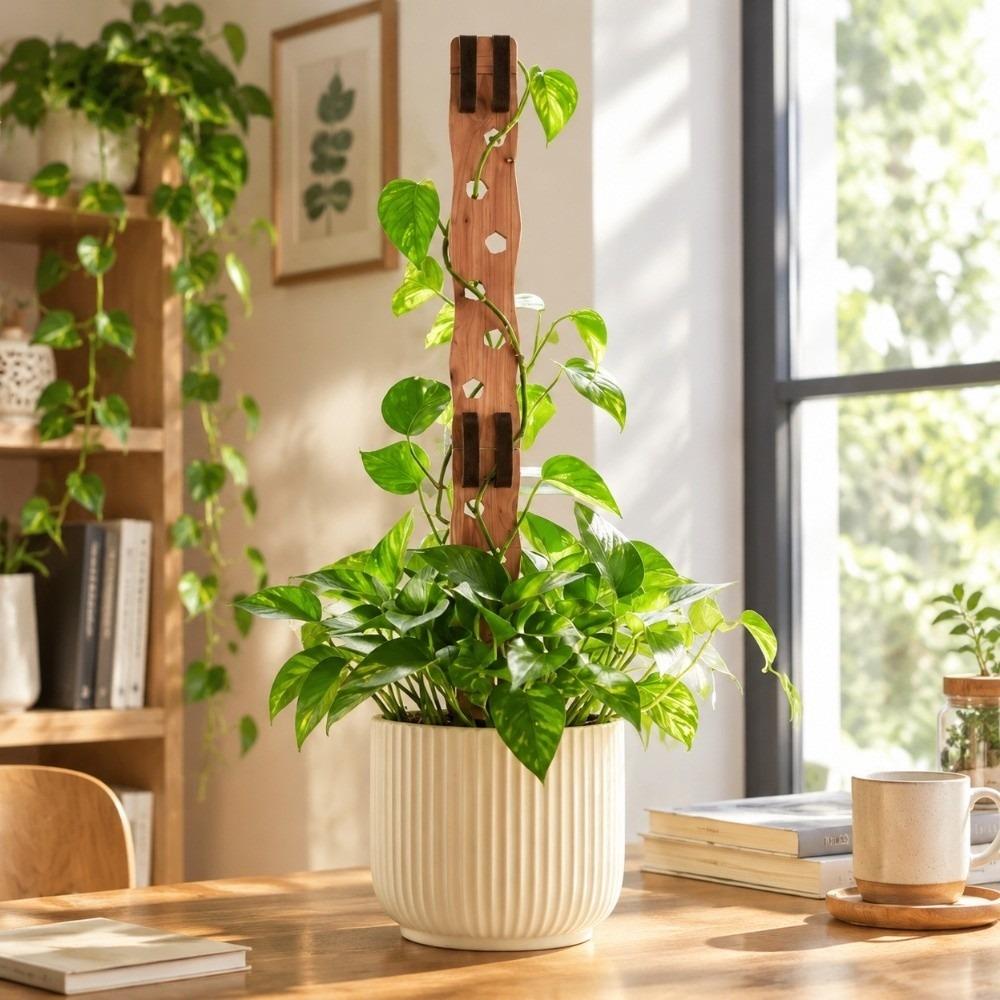 Extendable Plant Support Frame Hollow Out Plant Fixed Frame Plant Stand Indoor