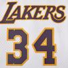 NBA Official Mitchell & Ness Lakers Basketball Jersey