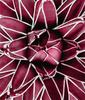 RUOPOTY DIY Frame Oil Painting By Numbers Flower Unique Gift On Canvas Wall Art Picture By Numbers For Living Room