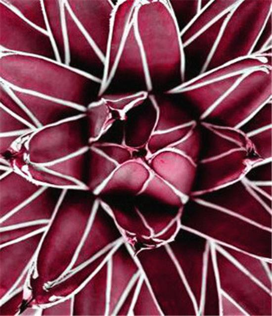 RUOPOTY DIY Frame Oil Painting By Numbers Flower Unique Gift On Canvas Wall Art Picture By Numbers For Living Room