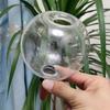 Automatic Plant Watering Bulbs Garden Waterer Automatic Irrigation Device Irrigation System for Potted Home Potting Accessories
