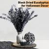 15pcs Real Black Eucalyptus Stems - Black Flowers and 17 Inch Preserved Natural Eucalyptus Leaves Branches for Flower Arrangement DIY and Home Decor