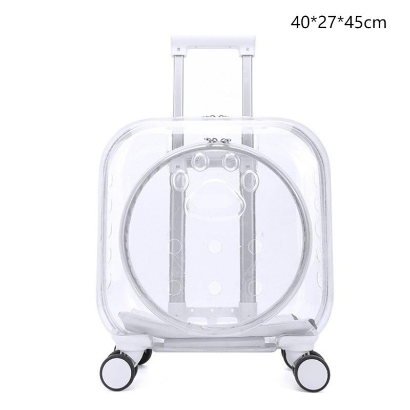 Outdoor Cats Backpack Pet Transparent Cat