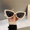 Fashion Cat Eye Sunglasses Women Luxury Designer Vintage Anti Blue Retro Shades Eyewear Female Irregular