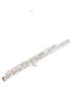 AUROSUS Intermediate Flute Open Hole 17 Key  Offest G French Model B Footjoint with Gizmo  Flute