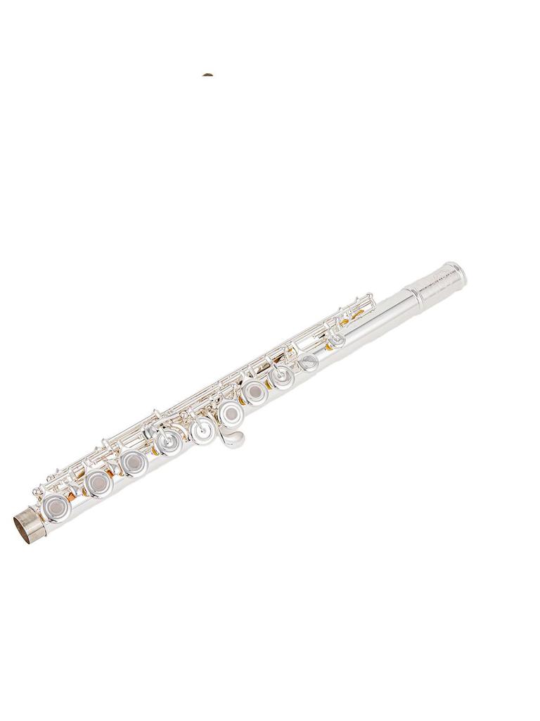 AUROSUS Intermediate Flute Open Hole 17 Key  Offest G French Model B Footjoint with Gizmo  Flute