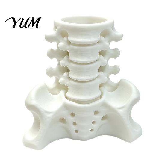 PLA Desk Storage Simulated Spine Pen Holder, Creative Skeleton Desktop Organizer, Durable Anatomical Decor 3D Printed Anatomy Ornament for Home Office
