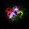 Garden Decoration Supplies Tulip Flower Shape LED Solar Powered Waterproof Tube Lawn Lights Standing Decor for Yard Outdoor