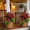 Plastic Shrub Artificial Dracaena Tree Vibrant Realistic Fake Tropical Palm Plants Fade-Resistant Realistic Leaves