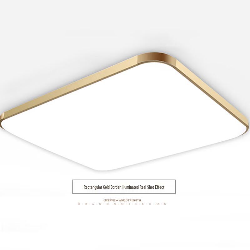 Leilei Zhiguang Modern LED Panel Ceiling Light